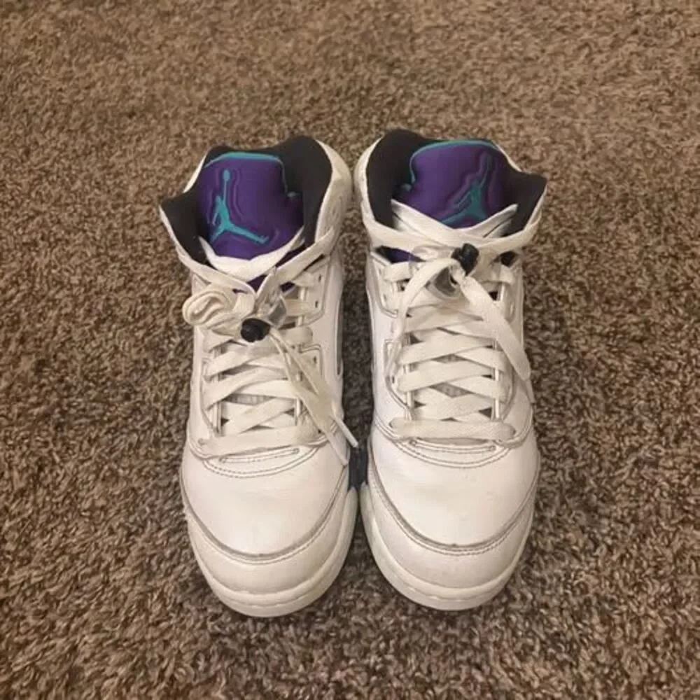 Jordan Air Jordan 5 Retro Grape